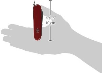 Victorinox Tinker Pocket Knife size